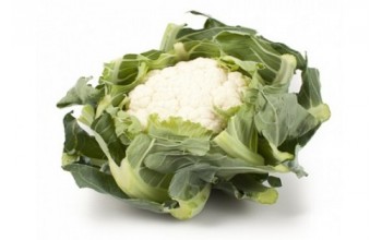 ΚΟΥΝΟΥΠΙΔΙ CASPER RZ 2.500 ΣΠΟΡΟΙ