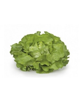 ΜΑΡΟΥΛΙ FLANDRIA RZ 5.000 PILLS 