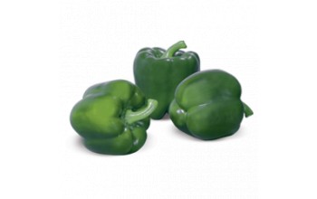 ΠΙΠΕΡΙΑ TELESTAR F1 500 ΣΠΟΡΟΙ