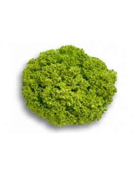 ΜΑΡΟΥΛΙ LEVISTRO RZ 5.000 PILLS