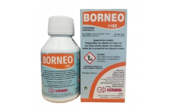 BORNEO 11 SC 