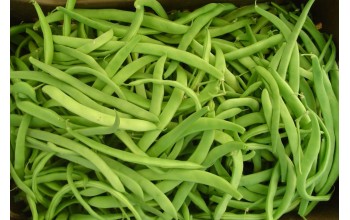 ΦΑΣΟΛΙ NANO BAGNA (ex LENA) 1 KG 
