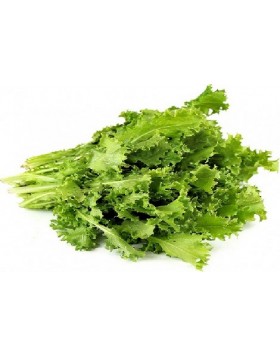 ΑΝΤΙΔΙ ΟΡΘΙΟ ΚΑΤΣΑΡΟ 500G