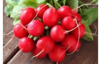 ΡΑΠΑΝΙ SHAHRI 250 G