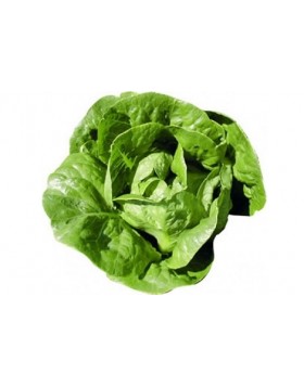 ΜΑΡΟΥΛΙ LINOY