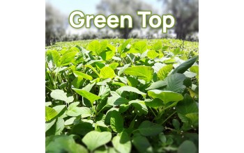 ΒΛΗΤΟ GREEN TOP 1 KG-SPOROGENESIS