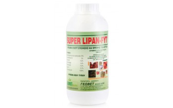 SUPER LIPAN-FYT 1 LT