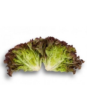 ΜΑΡΟΥΛΙ LOUXAL RZ 5.000 PILLS