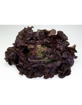 ΜΑΡΟΥΛΙ CHEROKEE RZ 5.000 PILLS