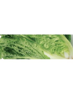 ΜΑΡΟΥΛΙ MUSENA 