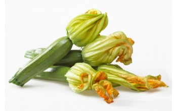 ΚΟΛΟΚΥΘΙ AMERIGO F1 -LARK SEEDS