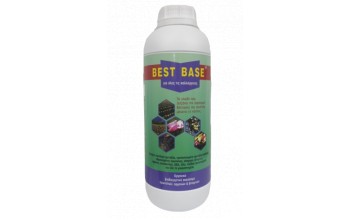 BEST BASE 