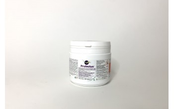 PROLECTUS WG