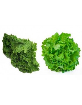 ΜΑΡΟΥΛΙ MANCHESTER