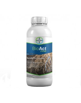 BIOACT PRIME DC (BIO)