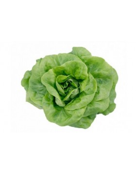 ΜΑΡΟΥΛΙ SINTIA RZ 5.000 PILLS