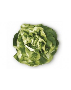 ΜΑΡΟΥΛΙ EURIDICE RZ 5.000 PILLS