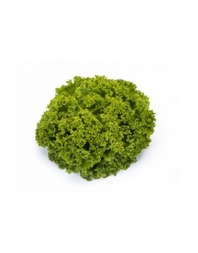 ΜΑΡΟΥΛΙ LANDAU RZ 5.000 PILLS