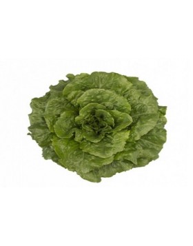 ΜΑΡΟΥΛΙ TACITUS RZ 5.000 ΣΠΟΡΟΙ