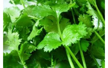 ΜΑΙΝΤΑΝΟΣ ΑΡΩΜΑΤΙΚΟΣ 500 G