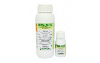 CORDALENE SC