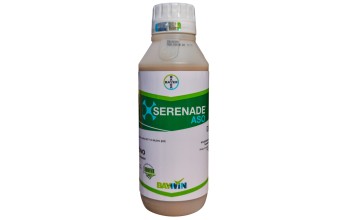 SERENADE ASO (Bacillus subtilis strain QST 713 96.94%)
