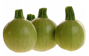 ΚΟΛΟΚΥΘΙ GREEN BALL F1 (BOUSTO) 100 ΣΠΟΡΟΙ