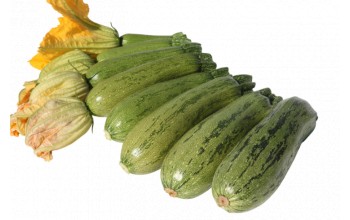 ΚΟΛΟΚΥΘΙ DOLMAS 1.000 ΣΠΟΡΟΙ