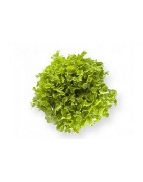 ΜΑΡΟΥΛΙ KIREVE 5.000 ΣΠΟΡΟΙ