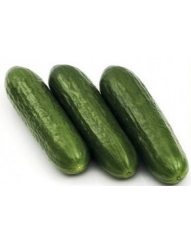 ΑΓΓΟΥΡΙ ΚΟΝΤΟ ORKESTRA F1 