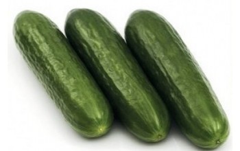 ΑΓΓΟΥΡΙ ΚΟΝΤΟ ORKESTRA F1 