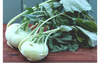 ΓΟΥΛΙ WHITE VIENNA 500 G