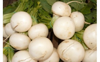 ΡΕΒΑ ΑΣΠΡΗ TURNIP SNOWBALL 500 G