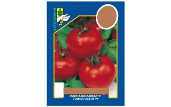 ΤΟΜΑΤΑ ΜΕΓΑΛΟΚΑΡΠΗ