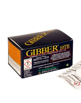 GIBBER 10 TB 