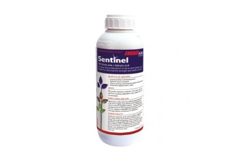 SENTINEL 500 ML