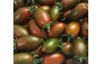 ΤΟΜΑΤΑ TIGER BROWN PLUM F1