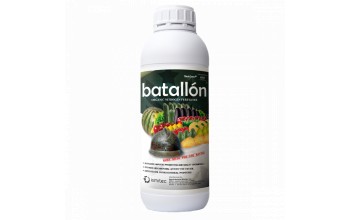 BATALLON 5 LT