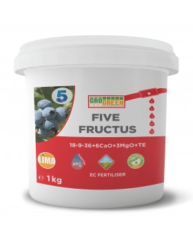 FIVE FRUCTUS 5 KG