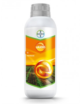 LAUDIS OD 1 LT