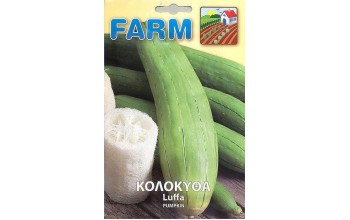 ΚΟΛΟΚΥΘΑ LUFFA