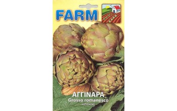 ΑΓΚΙΝΑΡΑ GROSSO ROMANESCO