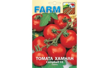 ΤΟΜΑΤΑ ΧΑΜΗΛΗ CAMPBELL 33