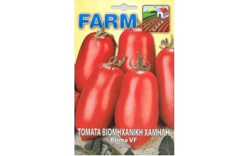 ΤΟΜΑΤΑ ΒΙΟΜΗΧΑΝΙΚΗ ΧΑΜΗΛΗ ROMA VF