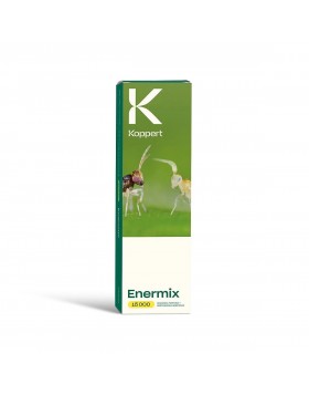 ENERMIX