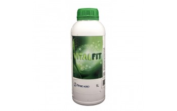 VITALFIT