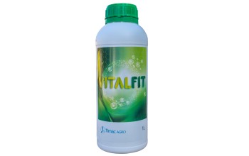 VITALFIT
