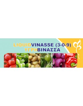ΥΓΡΗ ΒΙΝΑΣΣΑ 3-0-9 LIQUIDVINASSE