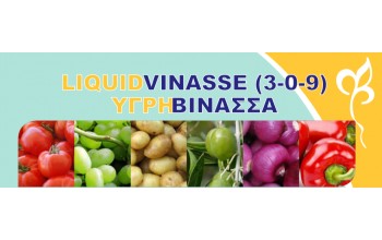ΥΓΡΗ ΒΙΝΑΣΣΑ 3-0-9 LIQUIDVINASSE
