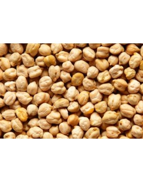 ΡΕΒΥΘΙ 1 KG